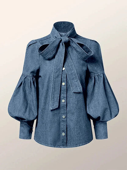 Denim Puff Sleeve High Neck Top