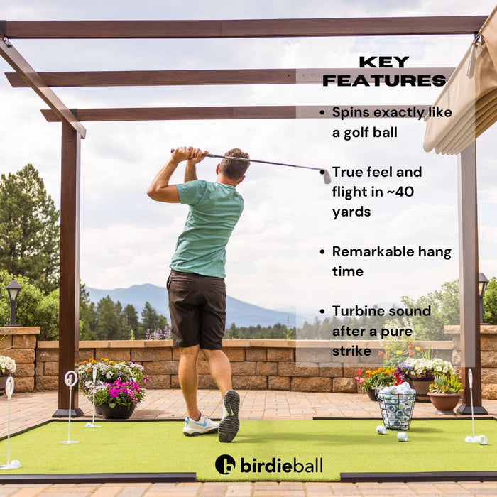 BirdieBall Turf Set | 1 Dozen Full-Swing Limited Flight Practice Golf Balls and Hitting Turf