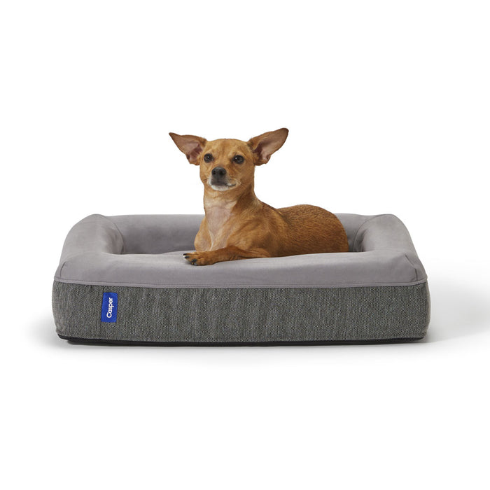 Dog lying on a gray pet bed with a white background