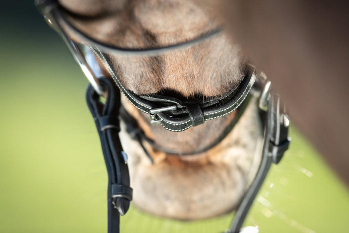 HFI functional bridle - HorseworldEU