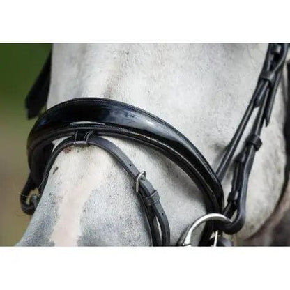 HFI luxe bridle HFI