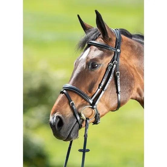 HFI technical bridle HFI