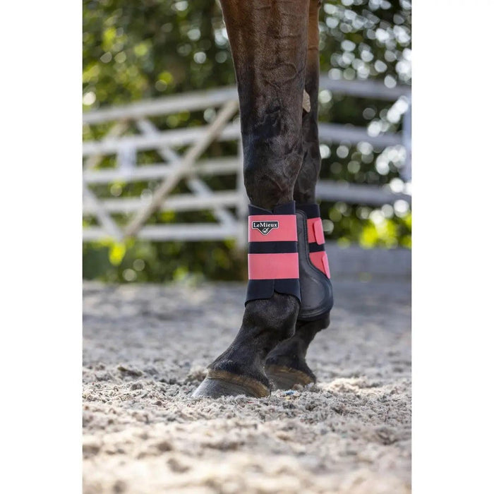 LeMieux grafter brushing boots Lemieux