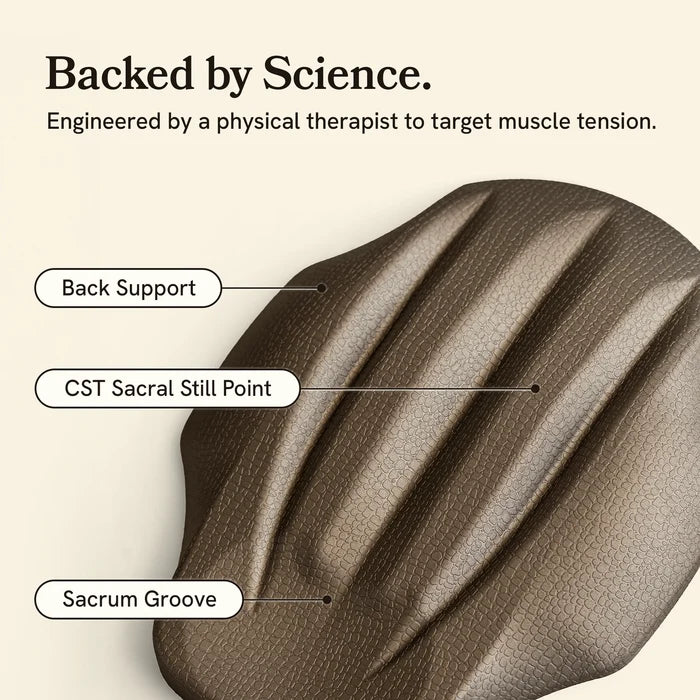 Brown ergonomic saddle with labeled features on a beige background, text about science and muscle tension.