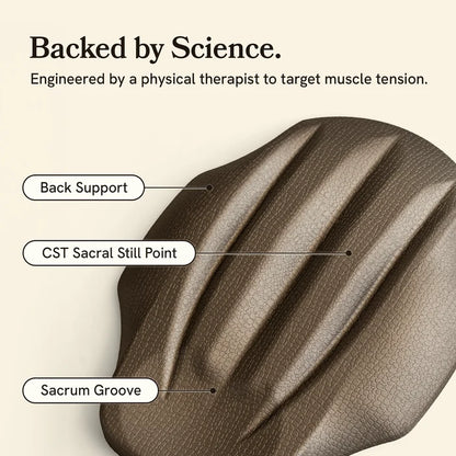 Brown ergonomic saddle with labeled features on a beige background, text about science and muscle tension.