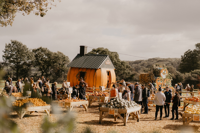 Pumpkin Fest - Sunday 4th October 2026