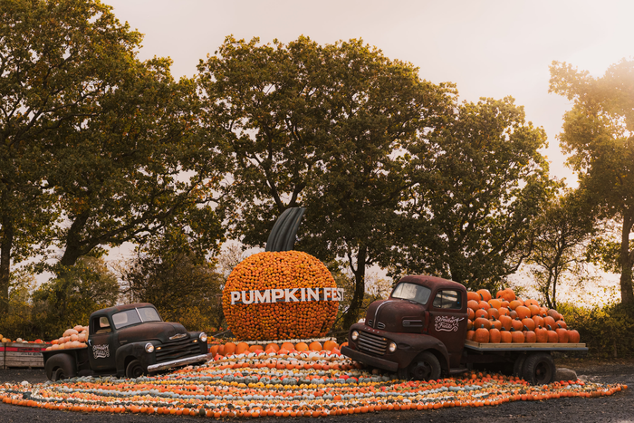 Pumpkin Fest - Thursday 29th October 2026