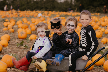 Pumpkin Fest - Tuesday 27th October 2026