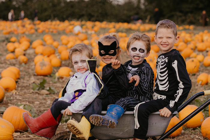 Pumpkin Fest - Wednesday 28th October 2026