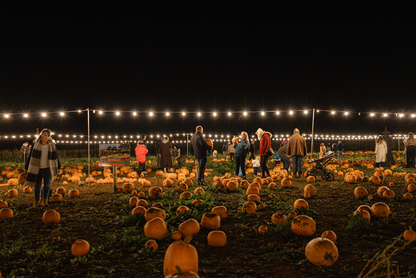 Pumpkin Nights - Friday 16th October 2026