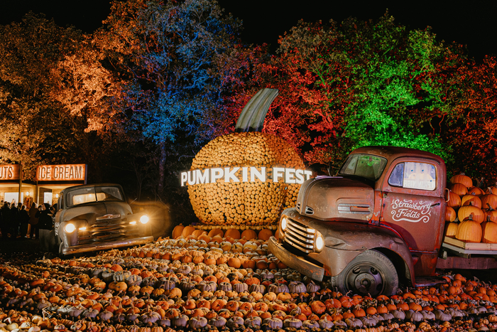 Pumpkin Nights - Friday 23rd October 2026