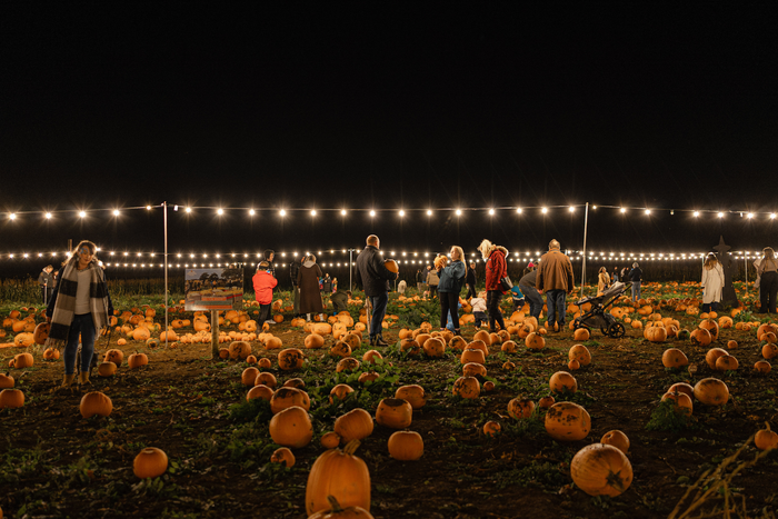 Pumpkin Nights - Friday 23rd October 2026