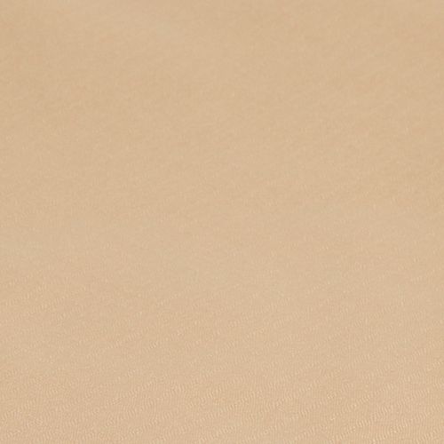 Replacement Canopy for Outsunny 2 Separate Seat Glider Swing - RipLock 350