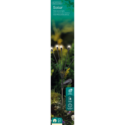 Solar Stake Plant Lights - Warm White
